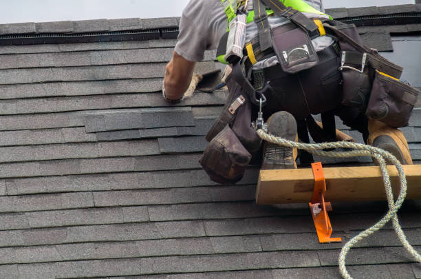 Roof Gutter Cleaning in Loughman, FL